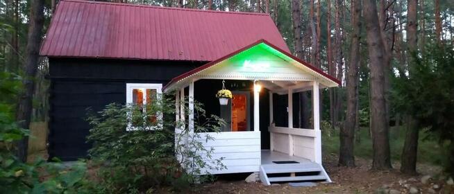 Wilga - urokliwy dom z bala na weekend lub wakacje