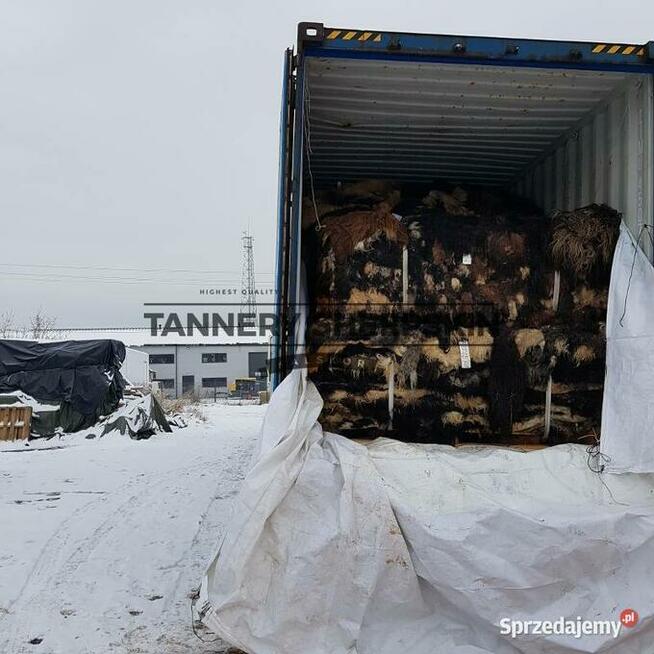 Decorative salted leather Sheepskin Raw Sheepskin RugTannery