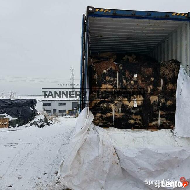 Decorative salted leather Sheepskin Raw Sheepskin RugTannery