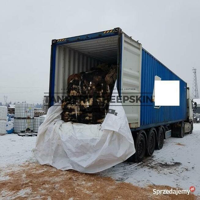 Decorative salted leather Sheepskin Raw Sheepskin RugTannery