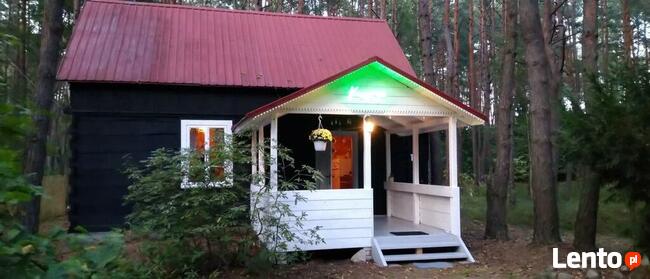 Wilga weekend wakacje w urokliwym domku z bala