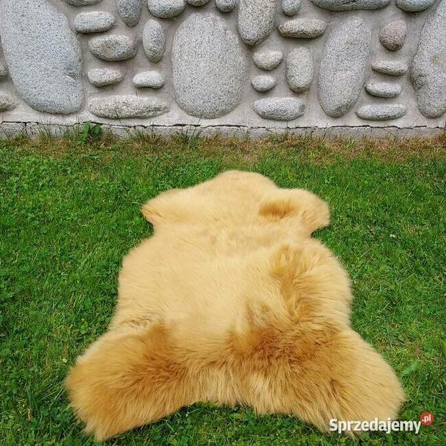 Skóra Owcza Naturalna Kolor Musztardowy Skóry Owcze