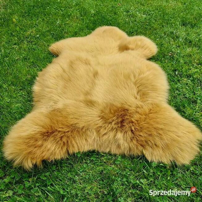 Skóra Owcza Naturalna Kolor Musztardowy Skóry Owcze