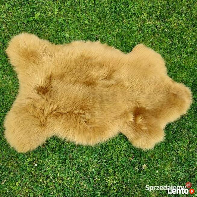 Skóra Owcza Naturalna Kolor Musztardowy Skóry Owcze