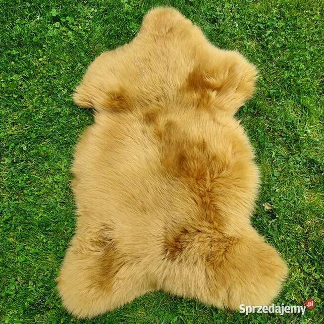 Skóra Owcza Naturalna Kolor Musztardowy Skóry Owcze