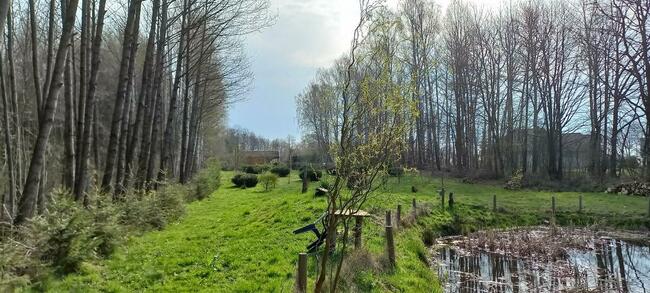 Sprzedam działkę z domkiem blisko Lidzbarku Warm. (Kierwiny)