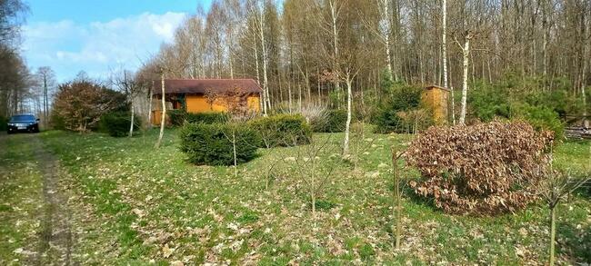 Sprzedam działkę z domkiem blisko Lidzbarku Warm. (Kierwiny)