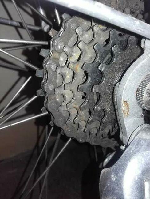 Rower damka wąskie koła 28