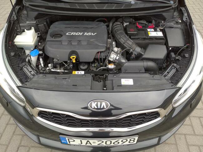 Kia Pro Ceed _ Asystent Parkowania* Pasa ruchu* Navi* Kamera