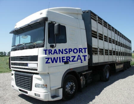 Kurs - transport zwierząt