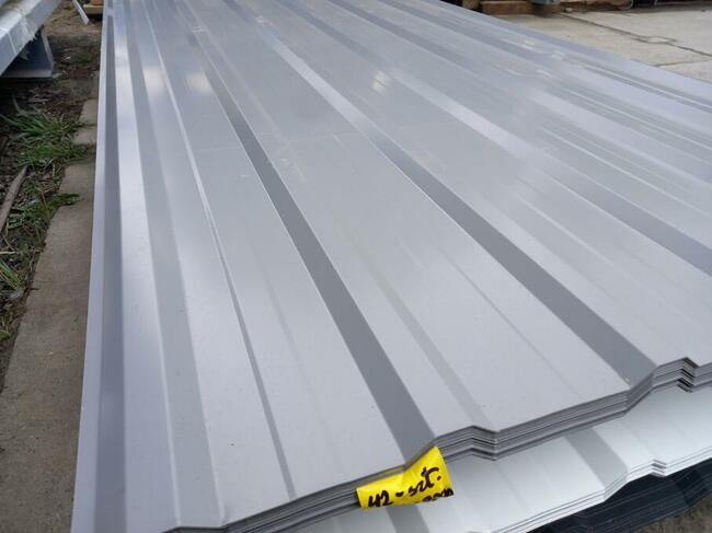 Blacha na altanę 2 Gatunek