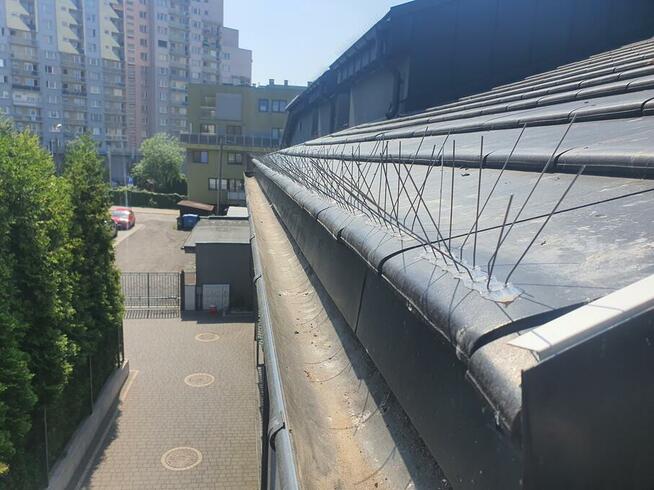 Montaż kolców przeciw ptakom