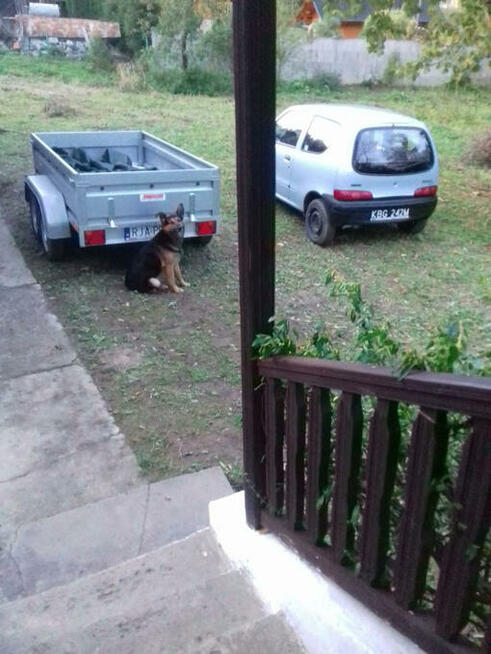 Sprzedam dom z działką na Podkarpaciu