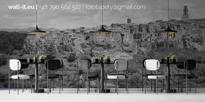 Fototapeta Wabi Sabi z drzewami na betonie nowoczesny design