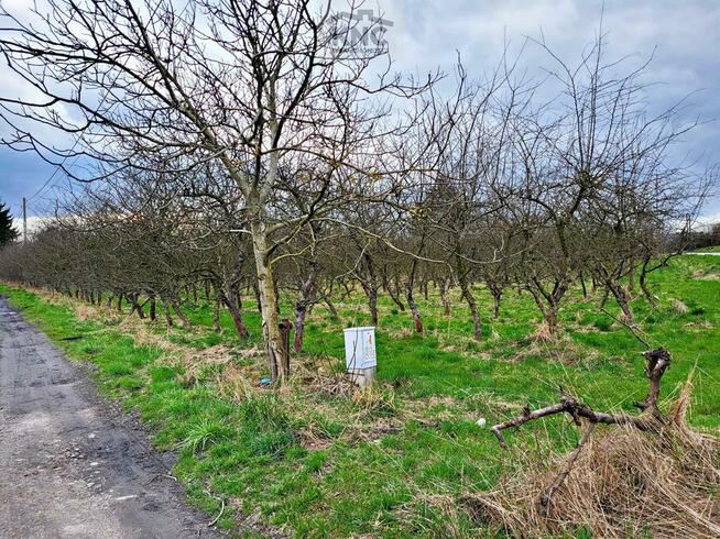 Działka budowlana Motycz gm. Konopnica