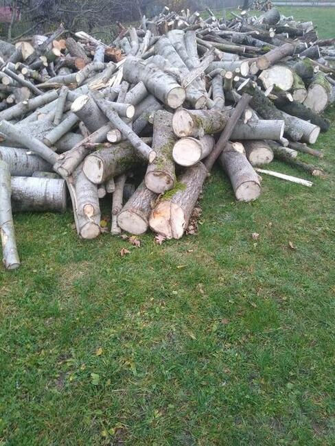 Sprzedam drewno opałowe, kominkowe