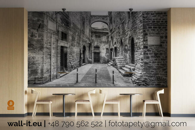 Fototapeta Wabi Sabi z drzewami na betonie nowoczesny design