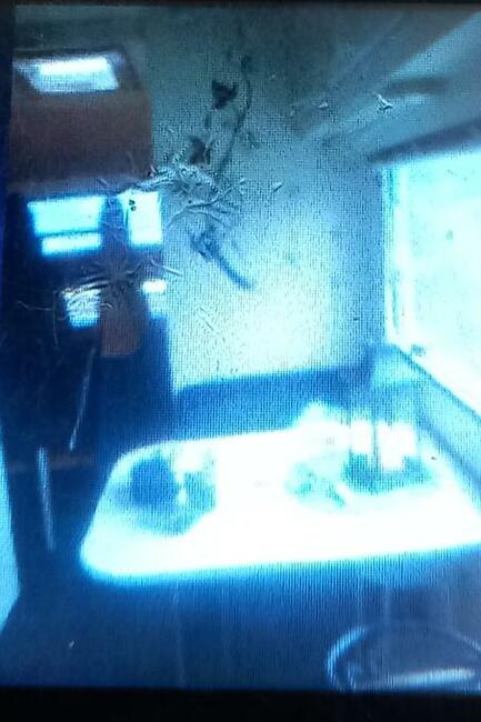 Działka ROD Hutnik na sprzedaż