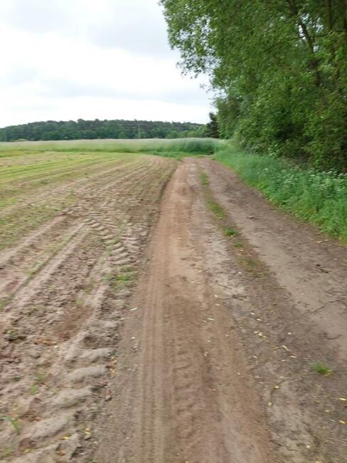 Kalisz Rajsków działka budowlana 1.1 ha