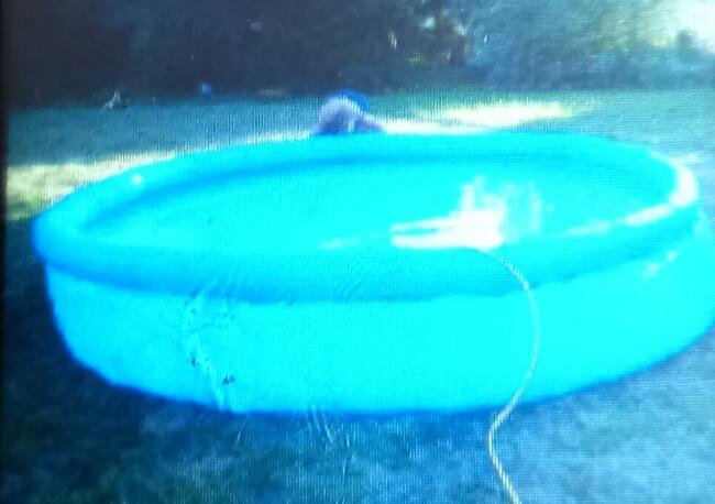 Działka ROD Hutnik na sprzedaż