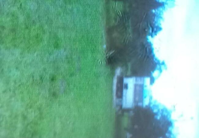 Działka ROD Hutnik na sprzedaż