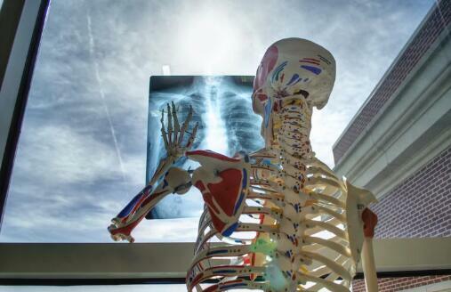 zdjęcie RTG Panoramiczne, pantomograficzne, Cefalometryczne