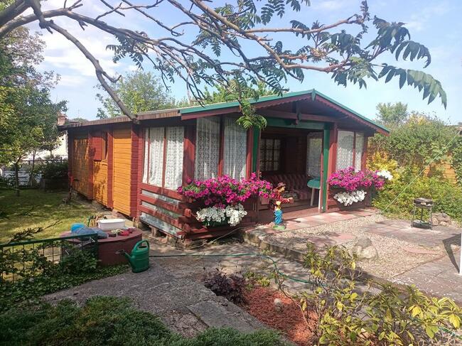 Działka ROD Sucharskiego