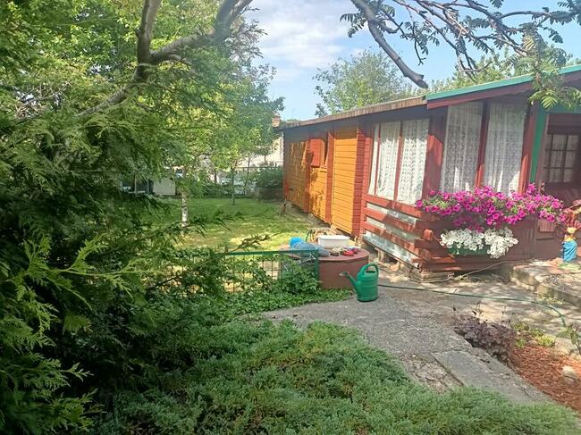 Działka ROD Sucharskiego