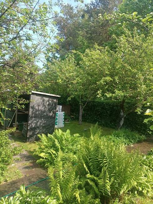 Działka ROD Sucharskiego