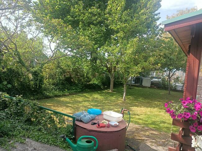 Działka ROD Sucharskiego