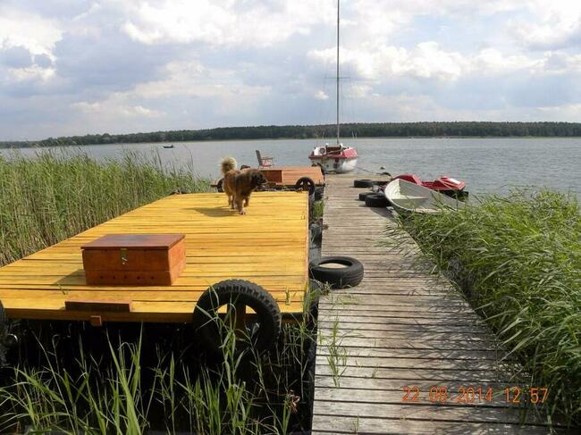 Wypoczynek bezpośrednio nad jeziorem powidzkim w Ostrowie