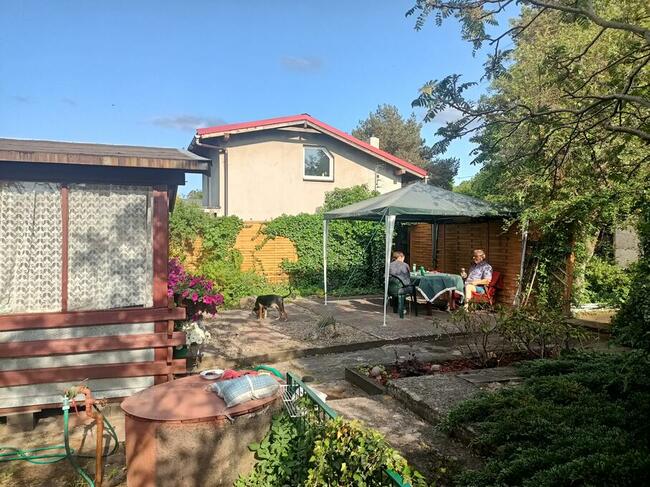 Działka ROD Sucharskiego