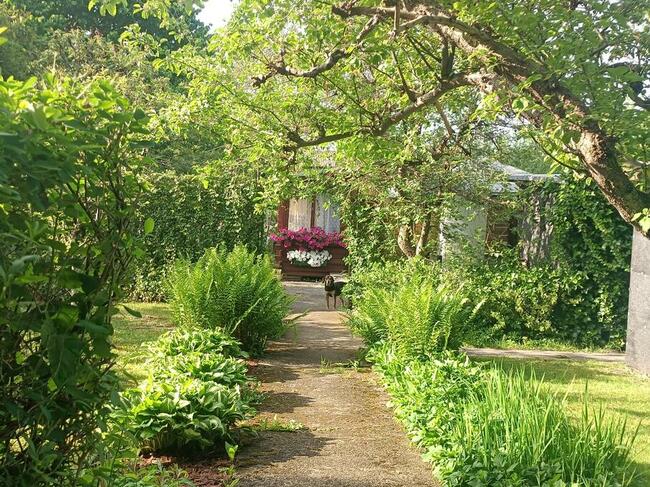 Działka ROD Sucharskiego