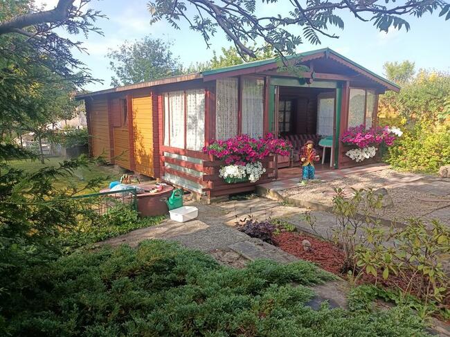 Działka ROD Sucharskiego