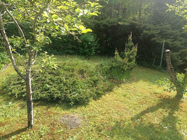 Działka ROD Sucharskiego