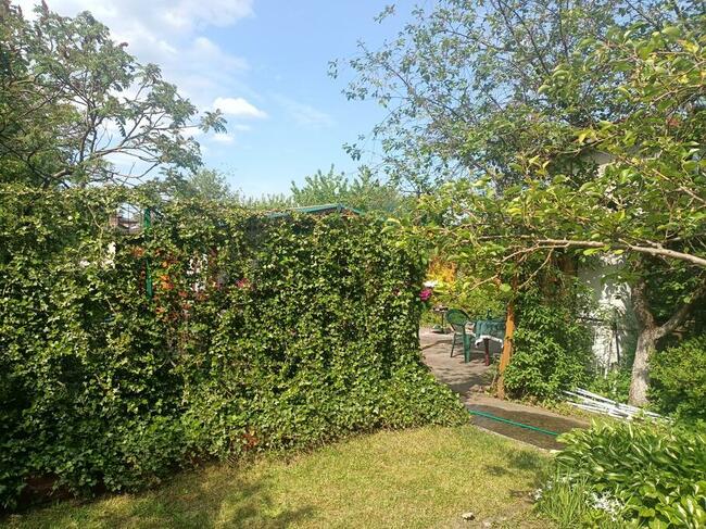 Działka ROD Sucharskiego