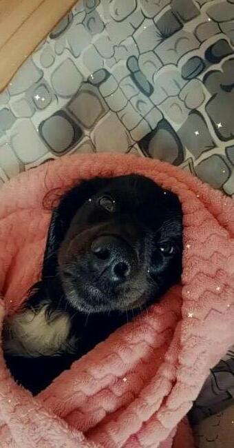 Poznam wolna/sympatyczna kolezanke