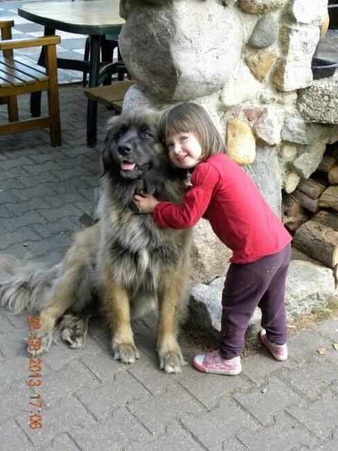 Wypoczynek bezpośrednio nad jeziorem powidzkim w Ostrowie
