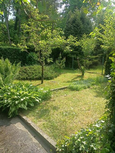 Działka ROD Sucharskiego