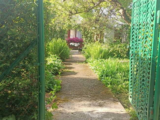 Działka ROD Sucharskiego