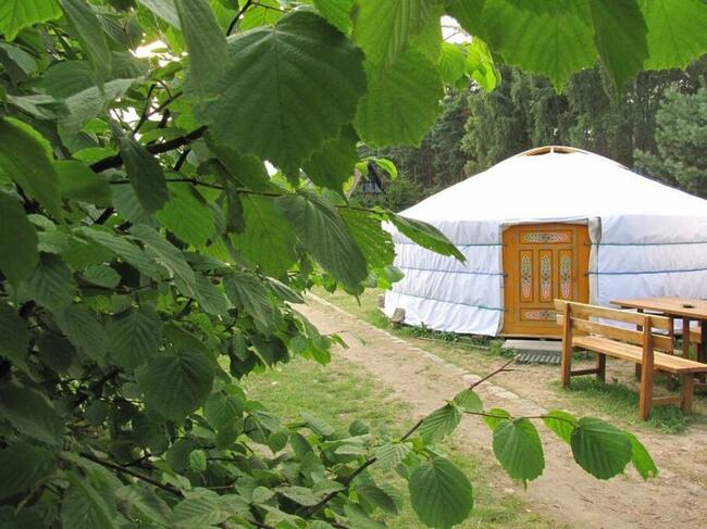 Wypoczynek bezpośrednio nad jeziorem powidzkim w Ostrowie