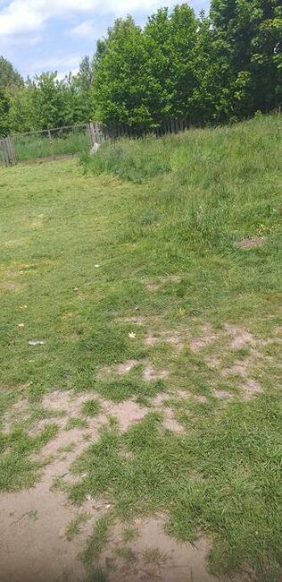 Usługj ogrodnicze Pionki