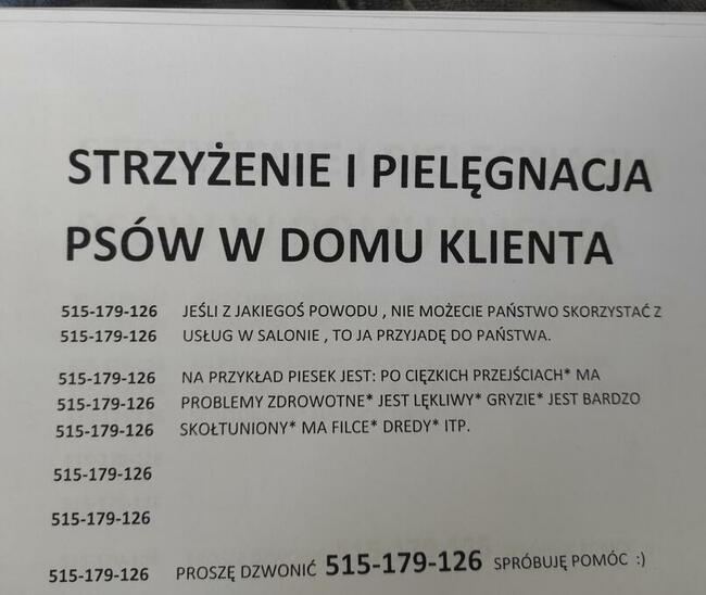Strzyżenie psów w domu klienta. Mobilny groomer.