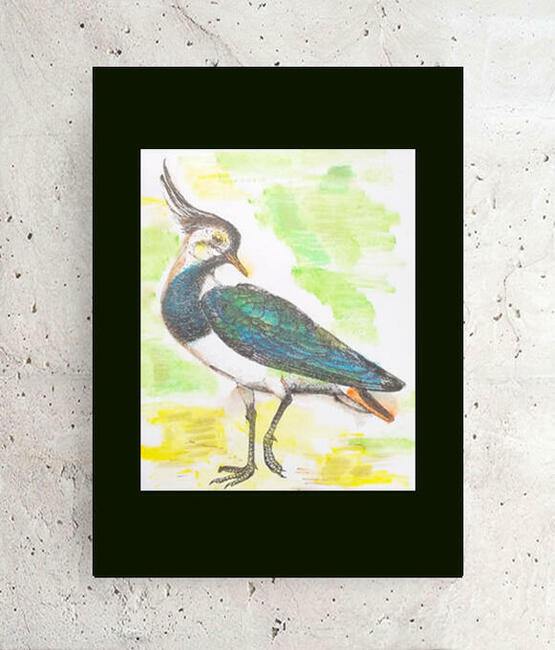 czajka obrazek do domu, ptaszek plakat A4