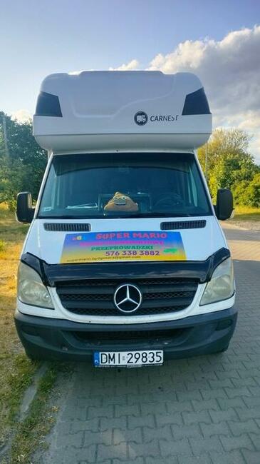 SUPER MARIO PRZEPROWADZKI TRANSPORT AUTO Z WINDĄ BAGAŻÓWKI