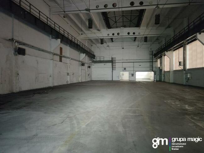 Toruń Hala produkcyjno-magazynowa / teren inwestycyjny