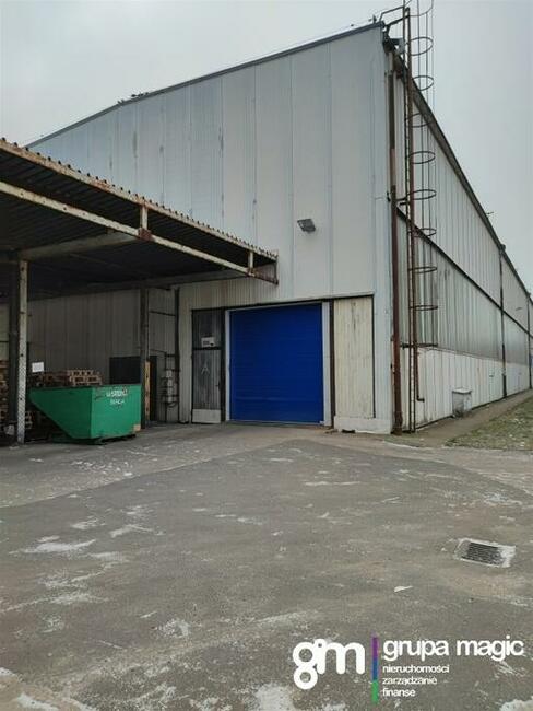 Toruń Hala produkcyjno-magazynowa / teren inwestycyjny