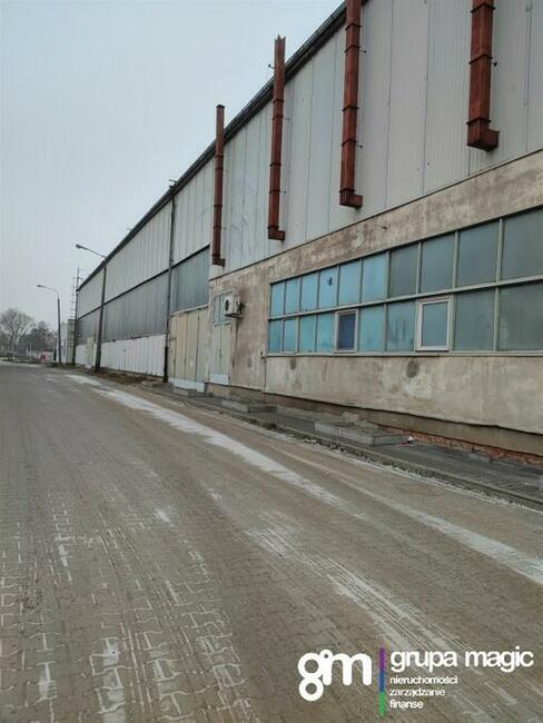 Toruń Hala produkcyjno-magazynowa / teren inwestycyjny