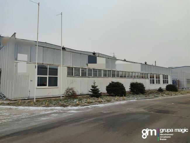 Toruń Hala produkcyjno-magazynowa / teren inwestycyjny