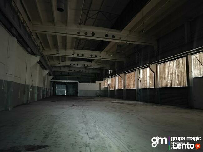 Toruń Hala produkcyjno-magazynowa / teren inwestycyjny